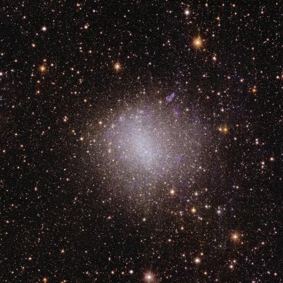 Vista di Euclid della galassia irregolare NGC 6822