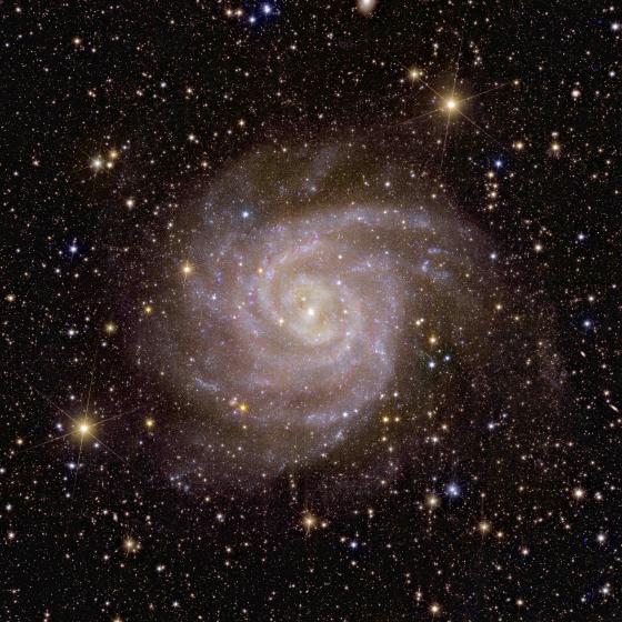 La vista di Euclid della galassia a spirale IC 342