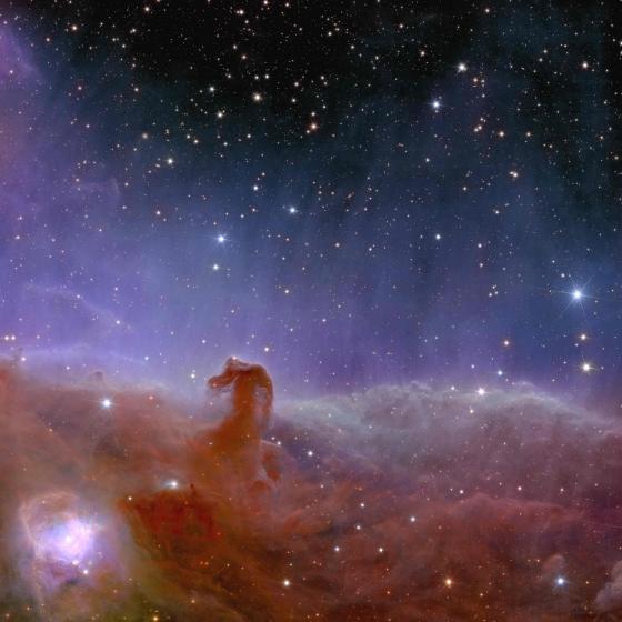 La vista di Euclide della Nebulosa Testa di Cavallo