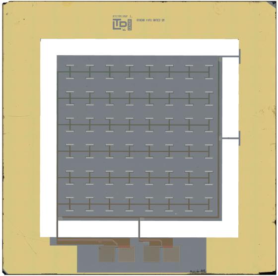 Prototipo per la dimostrazione della fisica di funzionamento (Demonstration Model) del rivelatore di anticoincidenza criogenica di XIFU, fabbricato nel laboratorio di Genova