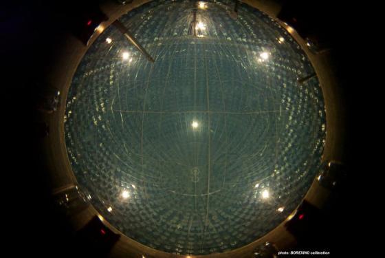 Borexino detector