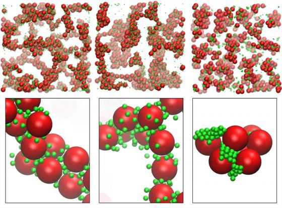 colloidal nanoparticles